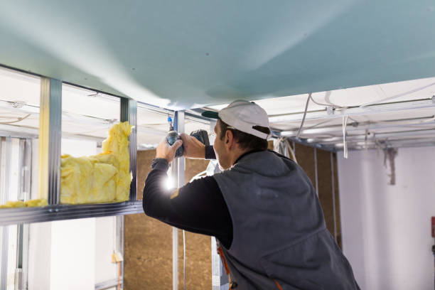Best Blown-in Insulation in Pioneer, CA