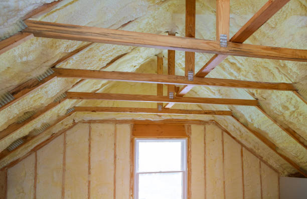 Best Cellulose Insulation in Pioneer, CA
