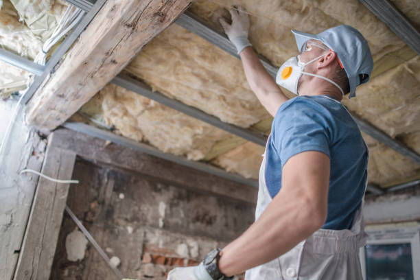 Best Spray Foam Insulation in Pioneer, CA