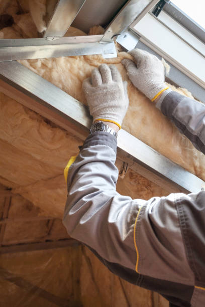 Best Specialized Insulation Services in Pioneer, CA