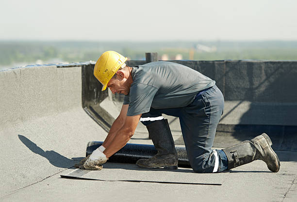 Best Insulation Maintenance and Repair in Pioneer, CA