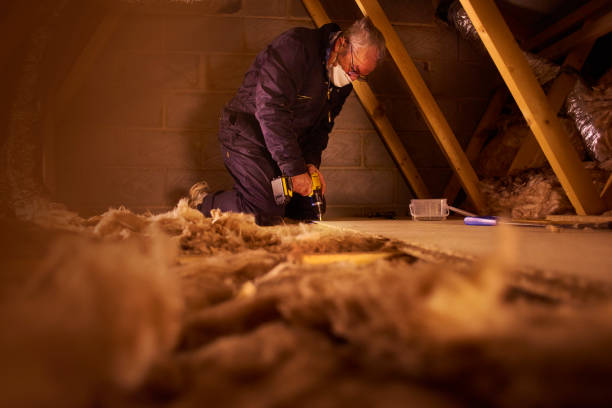 Best Energy Efficiency Insulation in Pioneer, CA